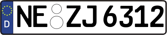 NE-ZJ6312