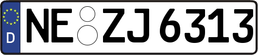 NE-ZJ6313