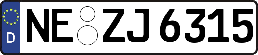 NE-ZJ6315