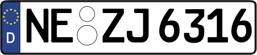 NE-ZJ6316