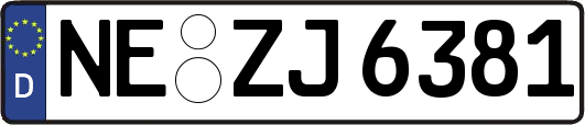 NE-ZJ6381