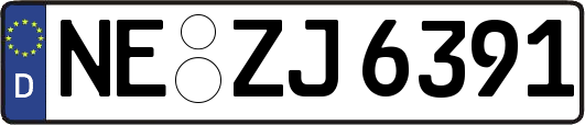 NE-ZJ6391