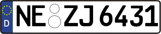 NE-ZJ6431
