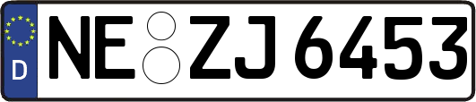 NE-ZJ6453