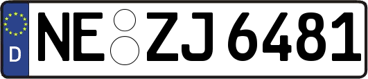NE-ZJ6481