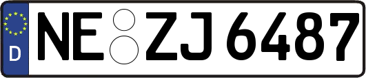 NE-ZJ6487