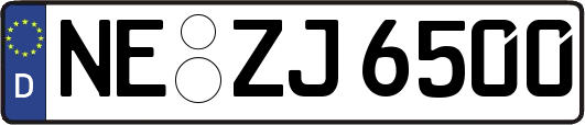 NE-ZJ6500