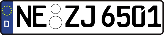 NE-ZJ6501