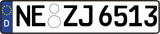 NE-ZJ6513