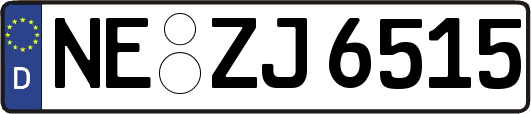 NE-ZJ6515