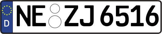 NE-ZJ6516