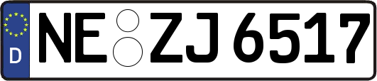 NE-ZJ6517