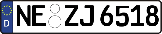 NE-ZJ6518