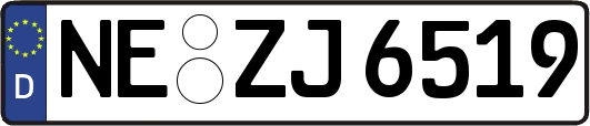 NE-ZJ6519