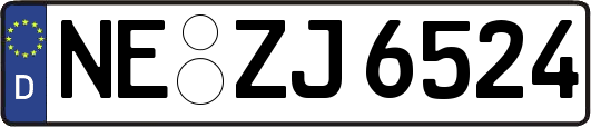 NE-ZJ6524