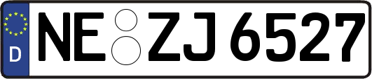 NE-ZJ6527