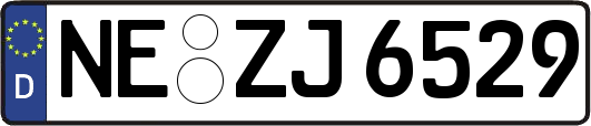 NE-ZJ6529