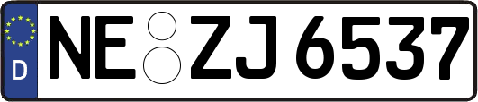 NE-ZJ6537