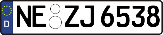 NE-ZJ6538