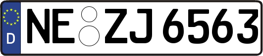 NE-ZJ6563