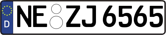 NE-ZJ6565