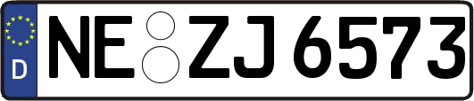 NE-ZJ6573