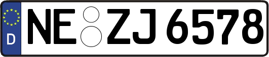NE-ZJ6578