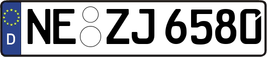 NE-ZJ6580