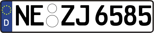 NE-ZJ6585
