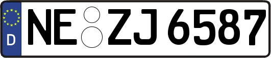 NE-ZJ6587