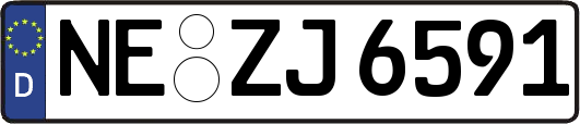 NE-ZJ6591
