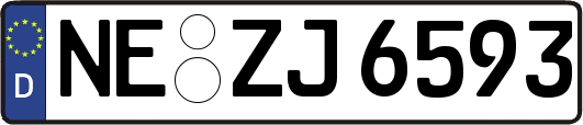NE-ZJ6593