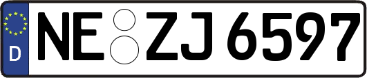 NE-ZJ6597