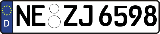 NE-ZJ6598