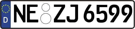 NE-ZJ6599