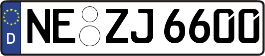 NE-ZJ6600