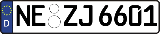 NE-ZJ6601