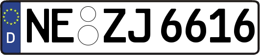 NE-ZJ6616