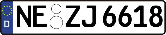 NE-ZJ6618