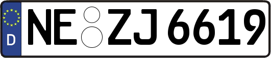 NE-ZJ6619