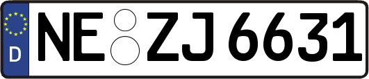 NE-ZJ6631