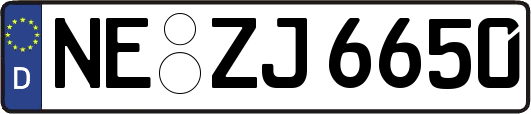 NE-ZJ6650
