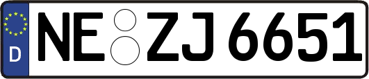 NE-ZJ6651
