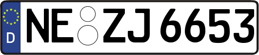 NE-ZJ6653