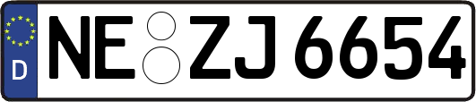 NE-ZJ6654