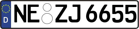 NE-ZJ6655