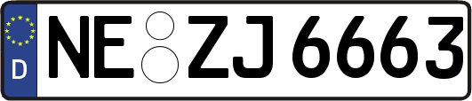 NE-ZJ6663
