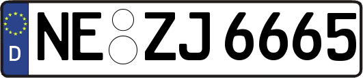 NE-ZJ6665
