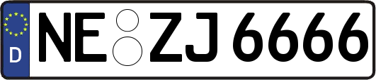 NE-ZJ6666