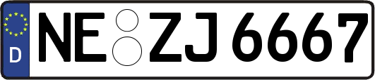 NE-ZJ6667